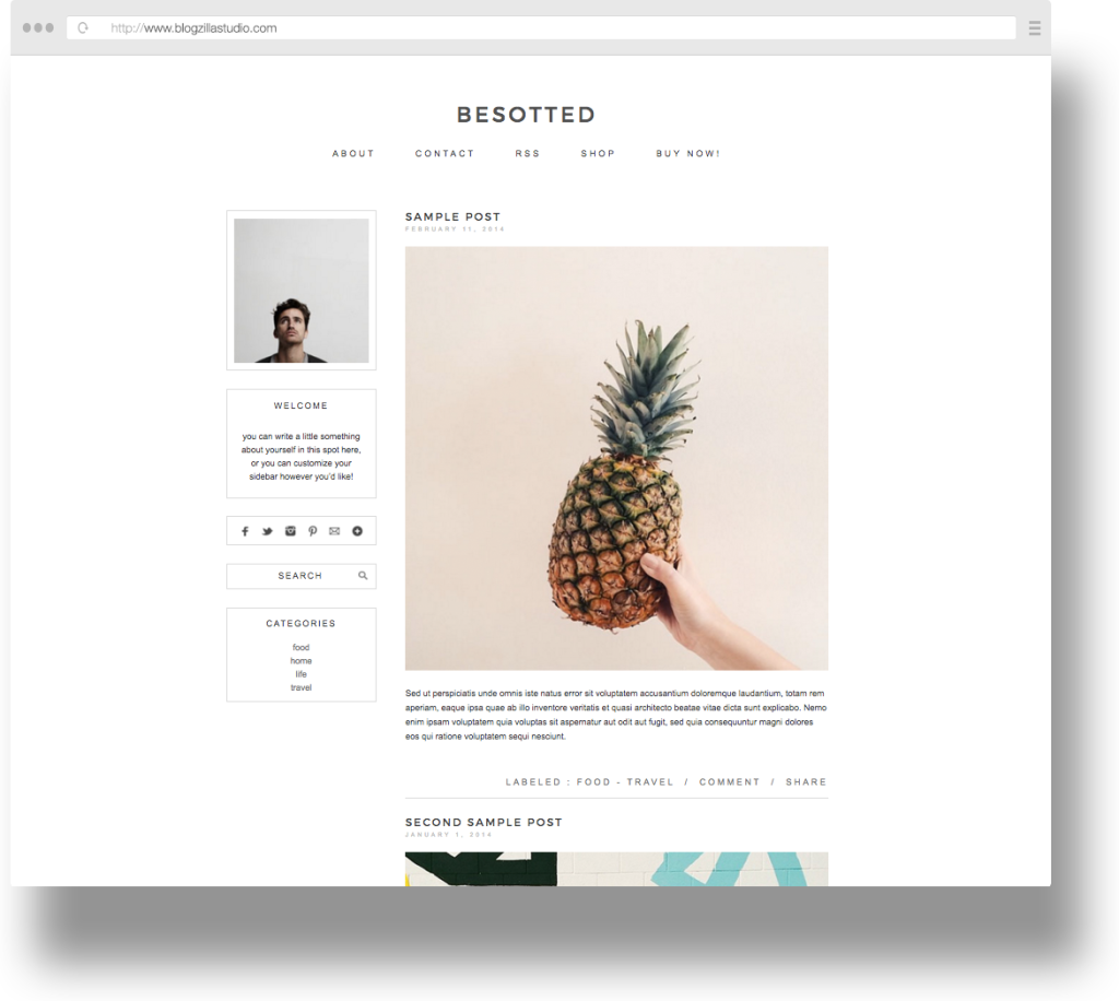 blog themes - blogzilla